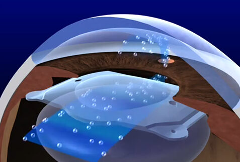 Microscopic view of a virus particle