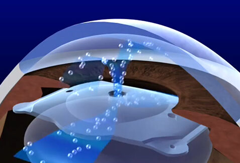 Group photo taken outdoors with participants smiling